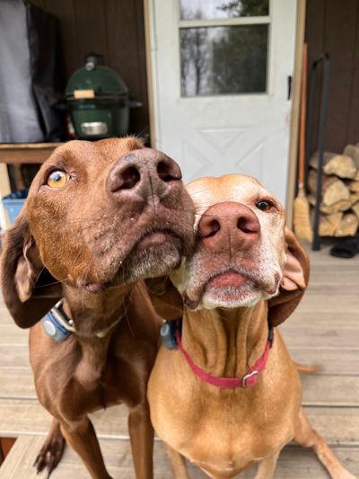 Puppy love